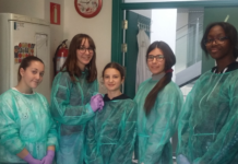 Primera Sesión del Proyecto PIIISA 2019