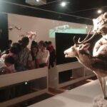 IMG-20250421-WA0014