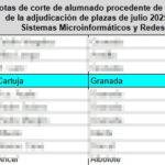 notas4